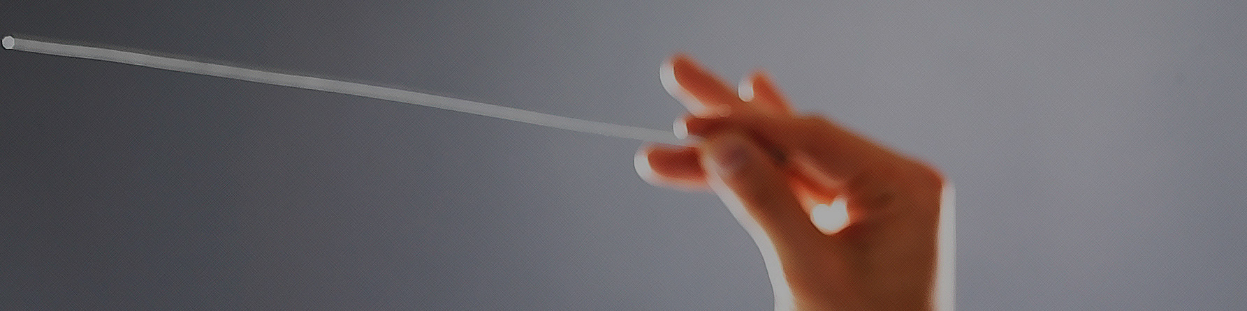 ESG Governance structure